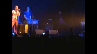 Didier Wampas : Live in Zenith of Paris : cover of Jean-Luc Le tenia