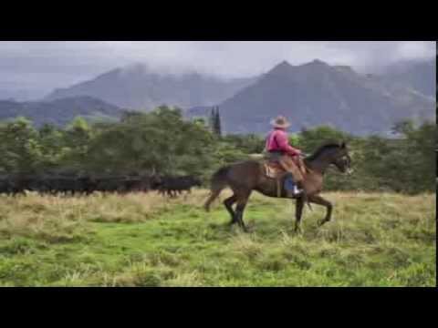 Hawaiian Rough Riders by Hui 'Ohana