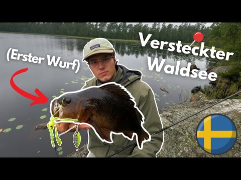 Schwedische Hechte wissen nicht was sie wollen....