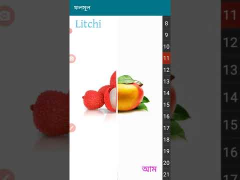 fruits name ফলের নাম শিখুন | Learn Names of Fruits in English and Bangla |Learn Fruit Names for Kids