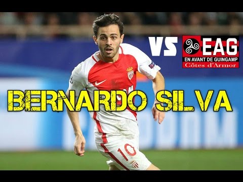 Bernardo Silva vs Guingamp (Home) - Individual Highlights - 25/02/17 - HD