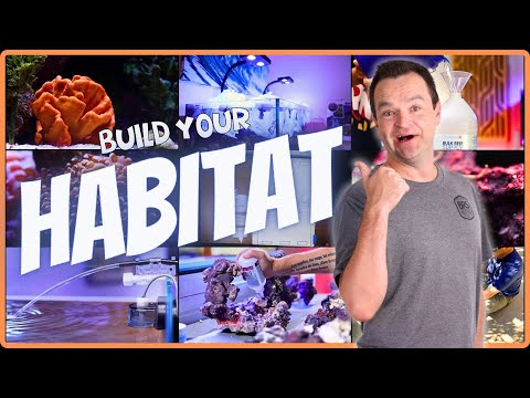 How to Build the PERFECT Saltwater Aquarium Habitat! EP: 2