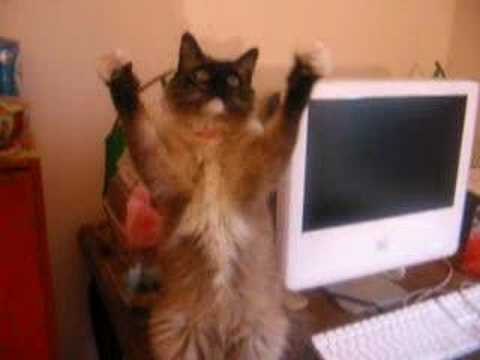 Charlene Butterbean (sits up and waves)