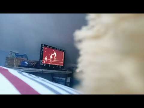 Def Jam 2K20 - Method Man & Redman vs Cruz & Zaheer @ Sanctuary