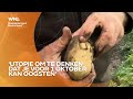 'Utopie om te denken dat je in oktober je aardappelen kunt oogsten'