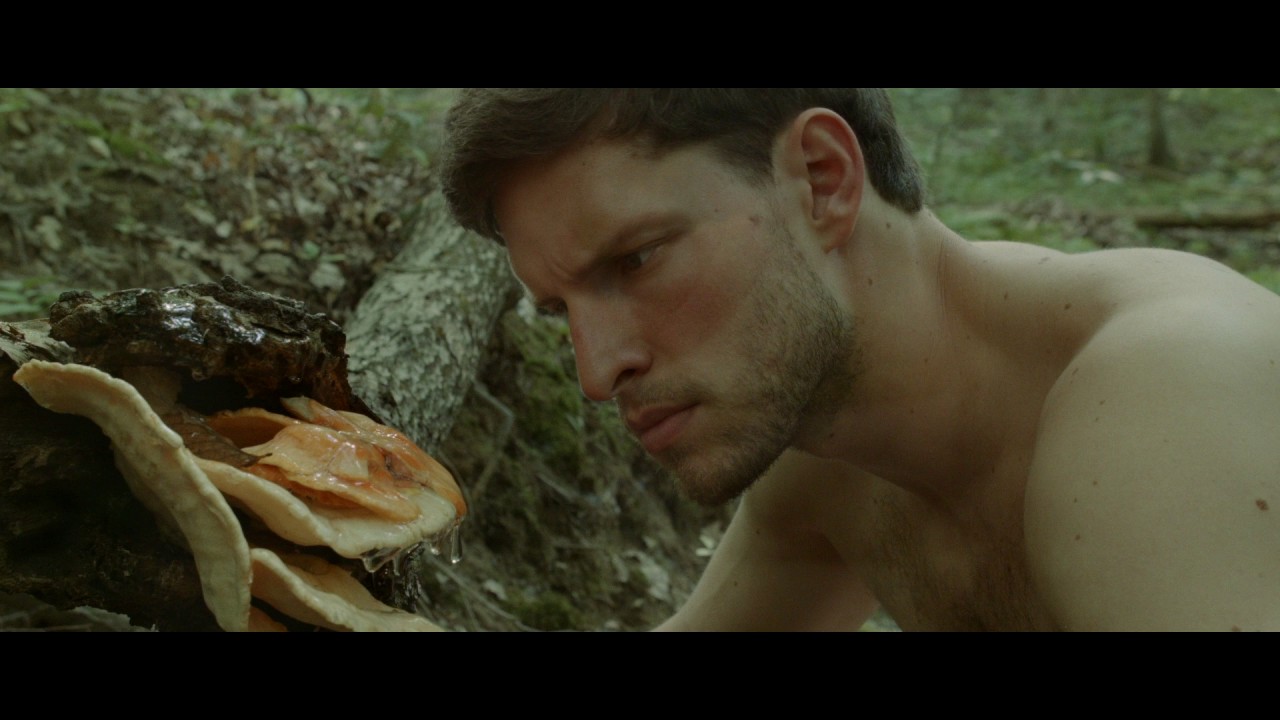 'Harvest Lake' Trailer A