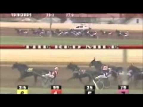 Kentucky Futurity 1st Heat 2004 -Windsong's Legacy