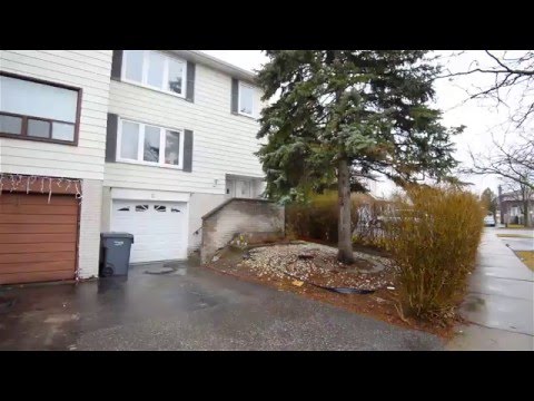 6 Abell Drive Brampton Tammy Harnum