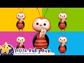 Ladybug Ladybug Ladybug Little Baby Bum Animal Club Fun Songs For Kids