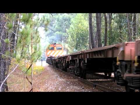 CP 1963 em Manobras - Cerca