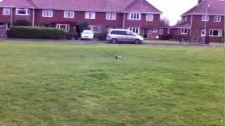 preview picture of video 'Messing about with the Tamiya in louth, lincolnshire.'