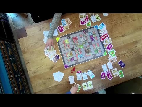 ドイツの姉妹がコロナウイルスのボードゲームを作る (German sisters create coronavirus board game)