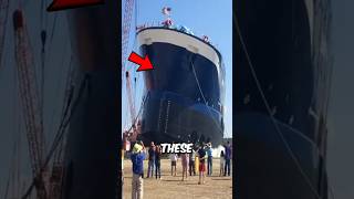 Top 3 BIGGEST Cruise Ships in the World 🚢