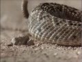 Holes 2003 Movie Beginning