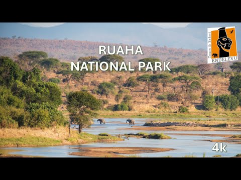 Ruaha Video