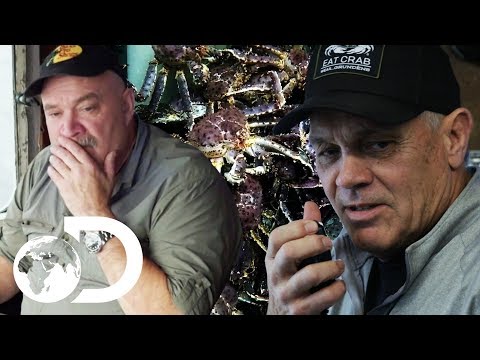 スライキャプテンのスポットがライバルのカニのホットスポットをチェック｜NEW デッドレイストキャッチ (Sly Captain Spot Checks Rival's Hotspot For Crab | NEW Deadliest Catch)