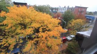 preview picture of video 'Hurricane Sandy, Park Slope Brooklyn 10/29/12 2:30PM'