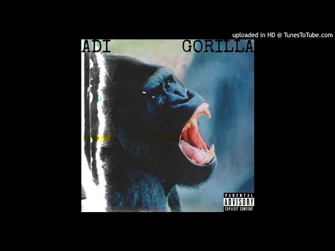 Gorilla