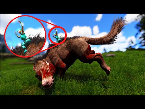 Andrewsarchus Taming and Fun with Friends on Fjordur - Monarky Ep. 2