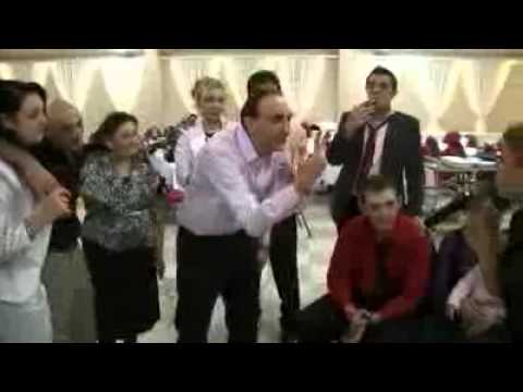 Mili Timisoara Wien.flv