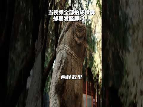 当视频全部拍成横屏，却要发竖屏时...#湖山圣域嵩县爱你#中原洱海陆浑湖#放松无极限周末来嵩县