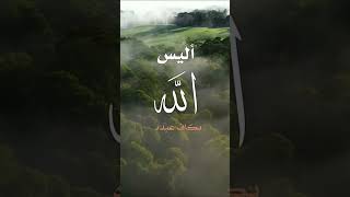 صورة تلاوة من سورة الزمر