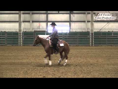 Will Letner & Gunna Hit The Lights - Derby at CPRHA Midwest Classic - Apr 9, 2016