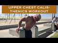 upper chest workout FlyPresses and incline bench equivalent - calisthenics outdoor training