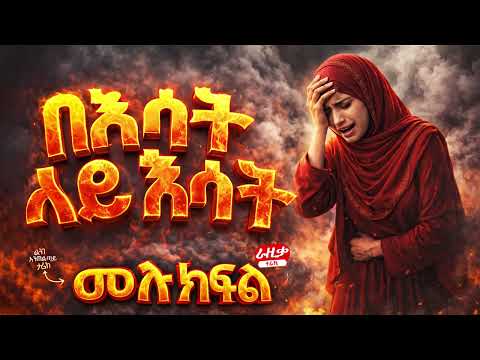 Amin Multimedia Production and 3 more