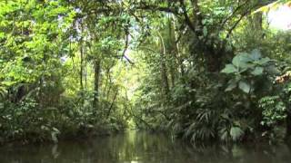 Download lagu Costa Rica Pura Vida - Caribe Costarricense mp3