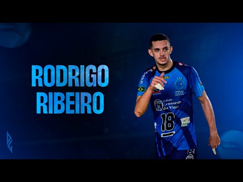 Highlights: RODRIGO RIBEIRO (Middle Blocker)