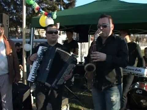 BIBIJAKA 2011 VLASKO POLJE BORKO RADIVOJEVIC SASA ILIC SAX JOVICA STRAUS.wmv