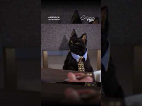 Does Salem still want to take over the world? #SabrinaTheTeenageWitch Now streaming on Paramount+