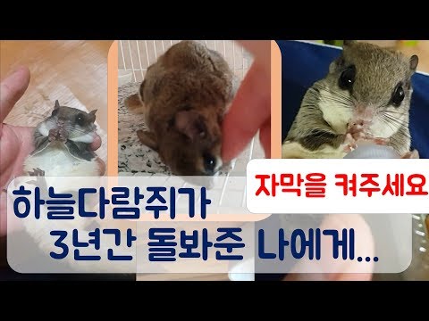 아이콘