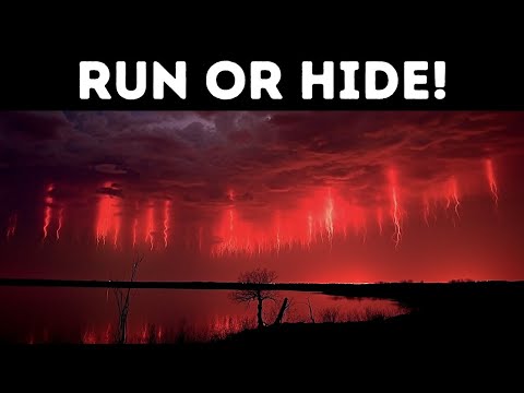 If You See a 'Jellyfish' in the Sky, Find a Safe Place