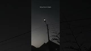 Download lagu WA STORY TULUS - MONOKROM mp3