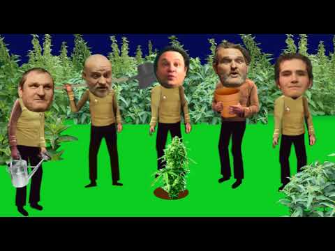 C4C - C4C - Cannabis 4 Cannibals