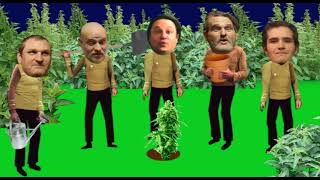 Video C4C - Cannabis 4 Cannibals