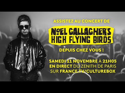 Noel Gallagher's High Flying Birds en concert au Zénith de Paris