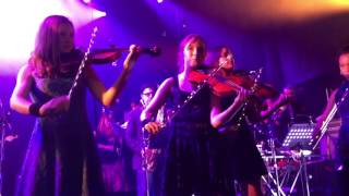 That&#39;s The Way Love Is ~ Poi dog Pondering