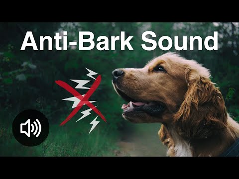 Anti-Bark Sound | 20kHz High-Frequency Sound to Stop Dogs Barking