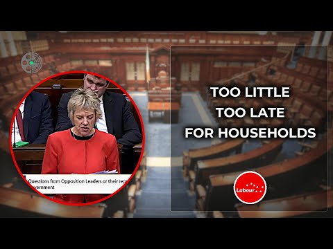 Ivana Bacik: Government Relief 'Too Little, Too Late'