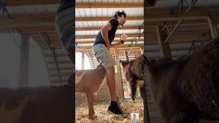 Big fails 😂😂😂 #funny #hilariousfails #comedy #failgag