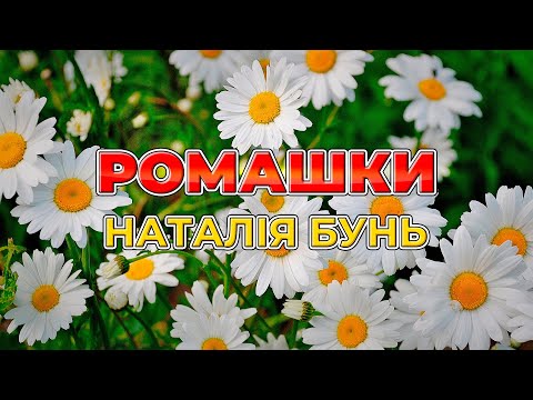 Ромашки - Наталія Бунь (Українські пісні,  Ліричні пісні)