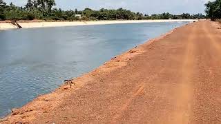  Residential Plot for Sale in Vilar, Thanjavur