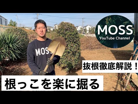 生垣を取り除く方法 トピックス