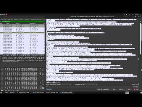 Redline Malware Traffic Analysis with Wireshark