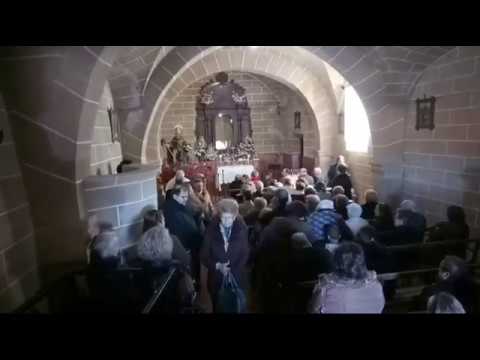 Bendición de los animales en San Antón - Directo