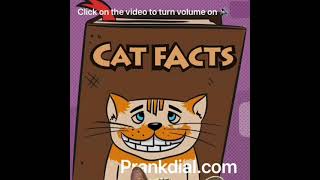 (PrankDial) Cat Facts