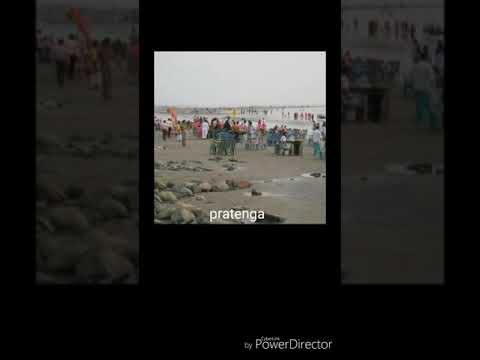 Bangladesh pratenga vedio(🌎বাংলাদেশ পতেঙগা)Beautyfull beach ##(Travel &tourism)